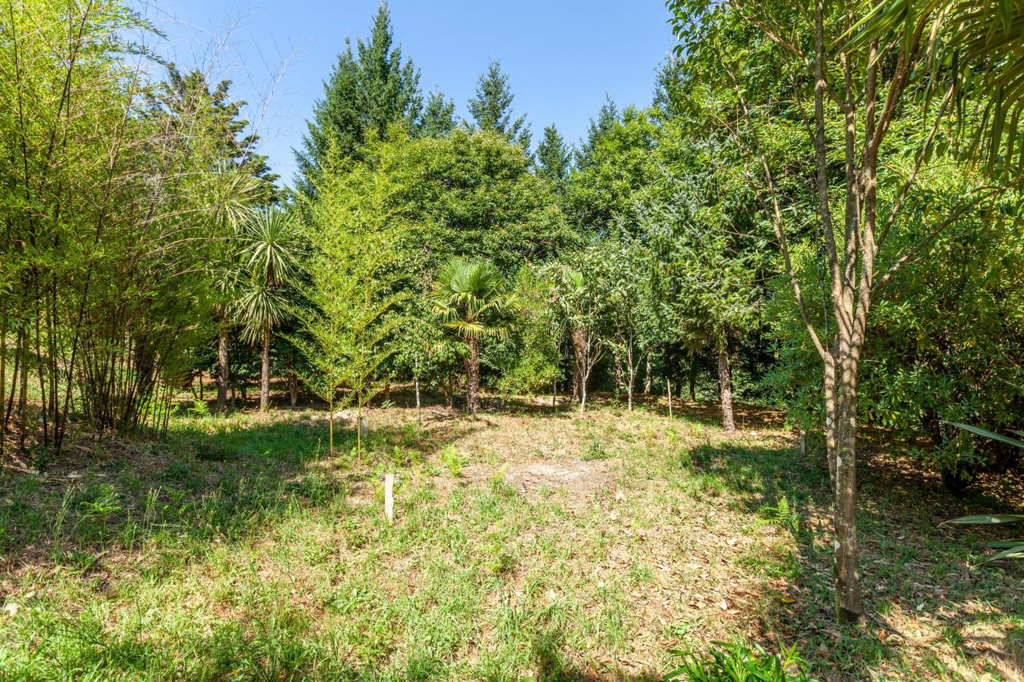 Villas Prendal Eco Living - Minho'S Guest ギマランイス エクステリア 写真