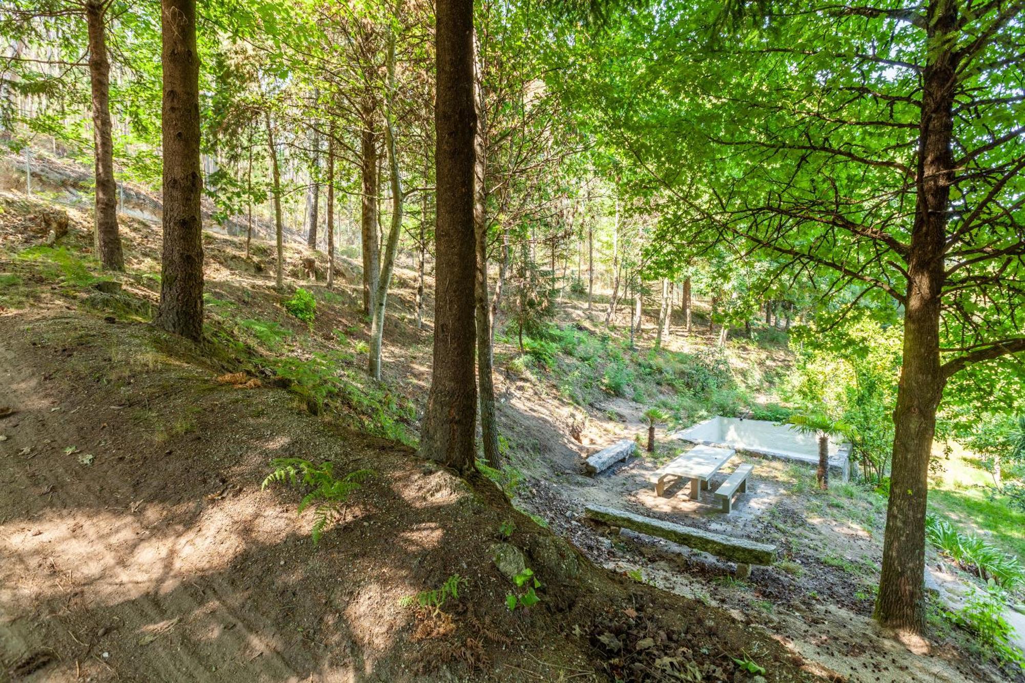 Villas Prendal Eco Living - Minho'S Guest ギマランイス エクステリア 写真