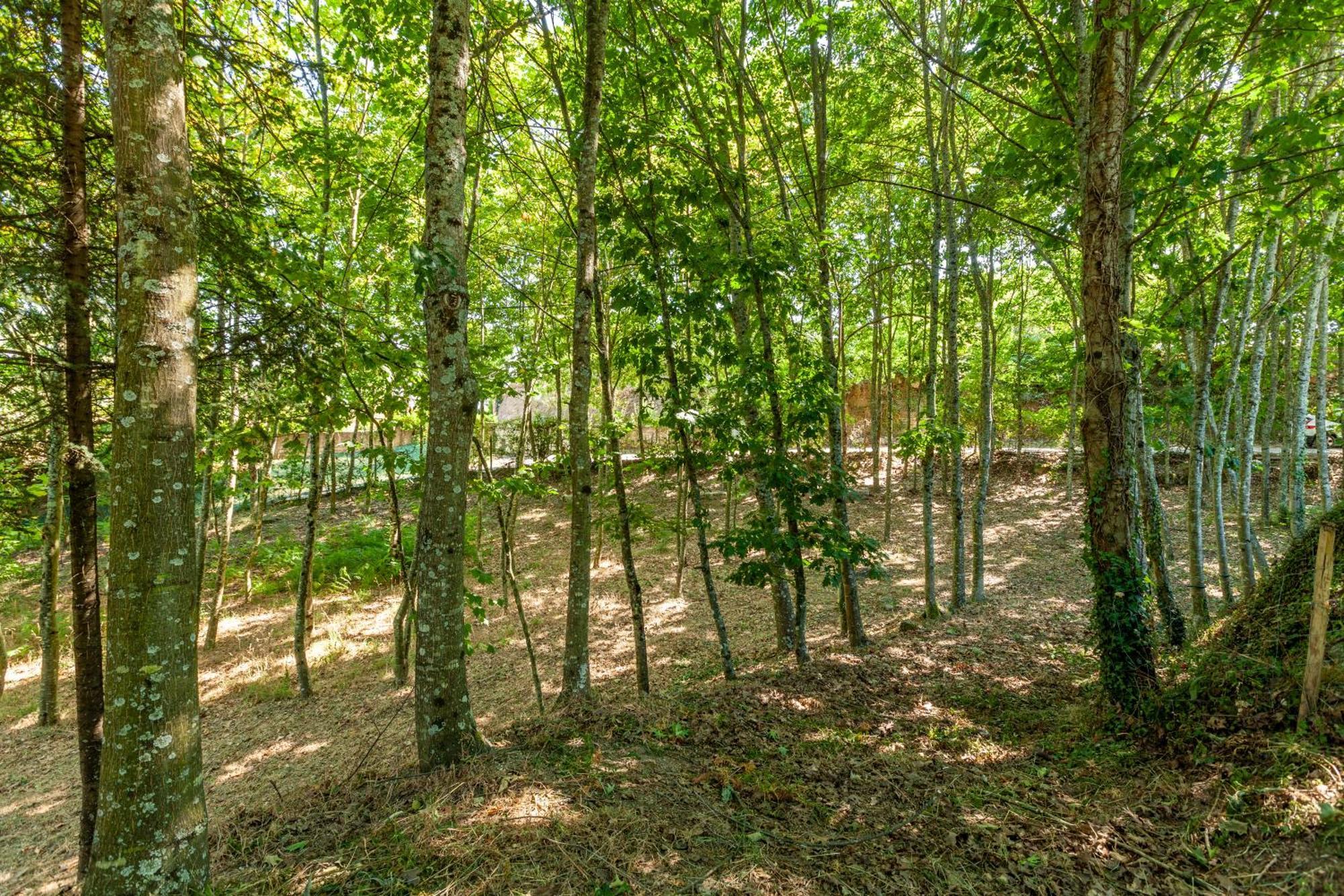 Villas Prendal Eco Living - Minho'S Guest ギマランイス エクステリア 写真